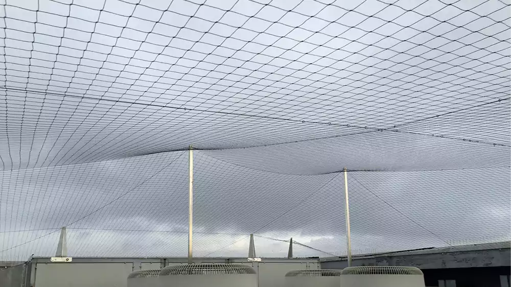 Anti Seagull Nets